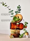 Eucalyptus Spearmint Moisturizing Body Lotion image number null