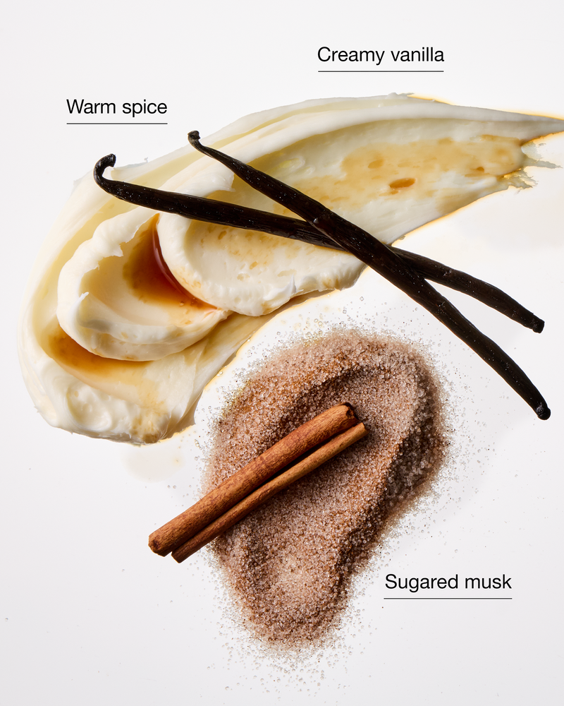 Sugared Snickerdoodle 3-Wick Candle 3-Wick Candle