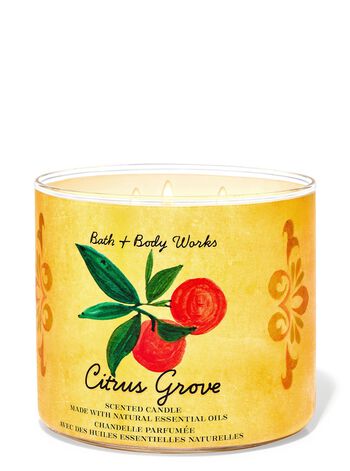 Citrus Grove 3-Wick Candle 3-Wick Candle