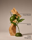 Book Loft Single Wick Candle image number null