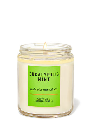 Eucalyptus Mint Single Wick Candle Single Wick Candle