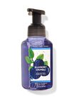 Blueberry Crumble Gentle Foaming Hand Soap image number null