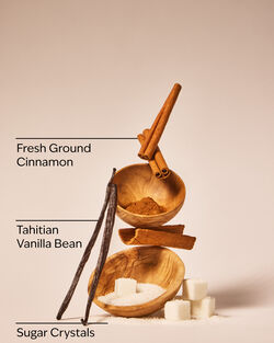 Cinnamon Spiced Vanilla Signature Single Wick Candle image number null