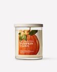 Pumpkin Clove Single Wick Candle image number null