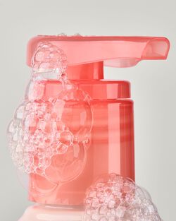 Mango & Coconut Milk Daily Moisturizing Hand Soap image number null