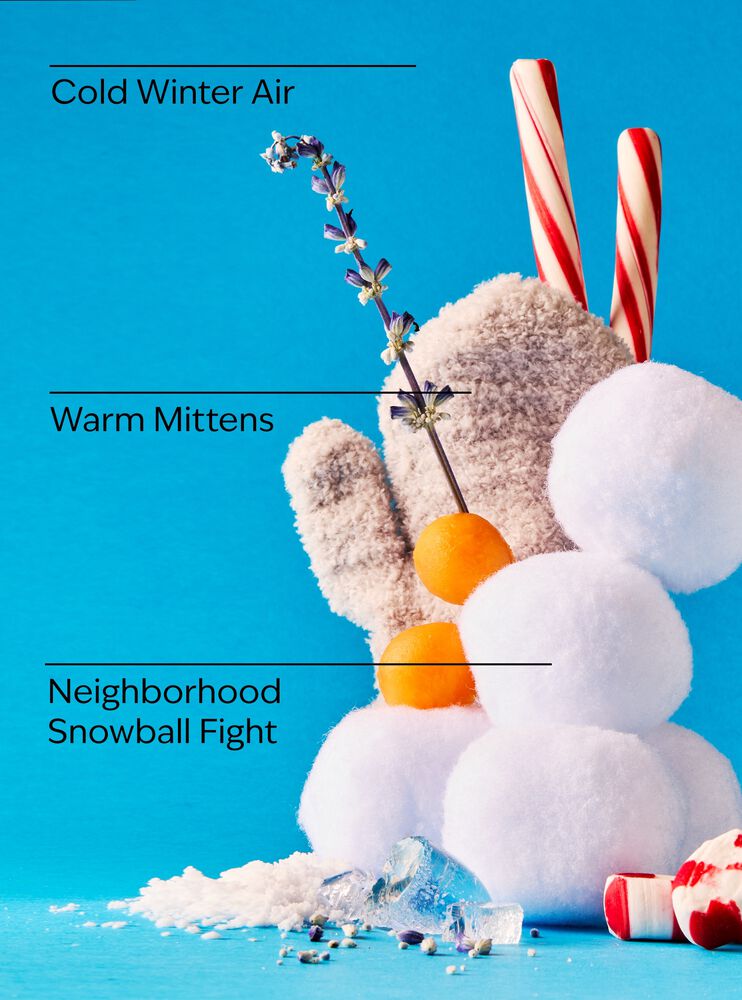 Snowball Fight Wallflowers Fragrance Refill Wallflowers Fragrance Refill