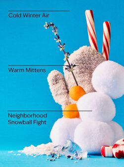 Snowball Fight Wallflowers Fragrance Refill image number null