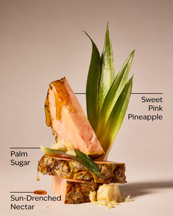 Pink Pineapple Sunrise Car Fragrance Refill