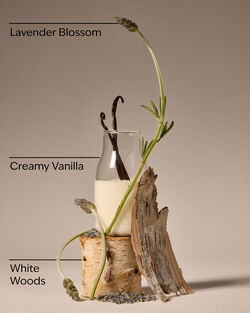 Lavender Vanilla Shower Steamers image number null