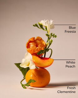 Gingham Fine Fragrance Mist image number null