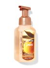 Sunshine & Lemons Gentle Foaming Hand Soap image number null