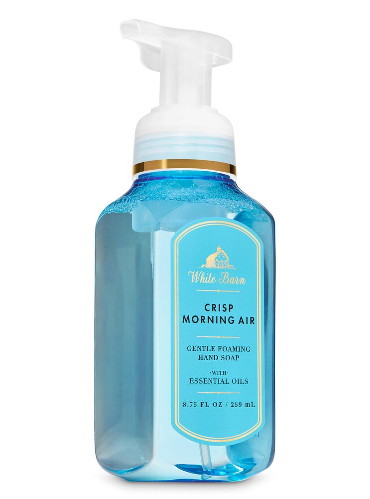Crisp Morning Air Foaming Hand Soap Gentle Foaming Hand Soap