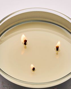 Forever Cherry Blossom 3-Wick Candle image number null