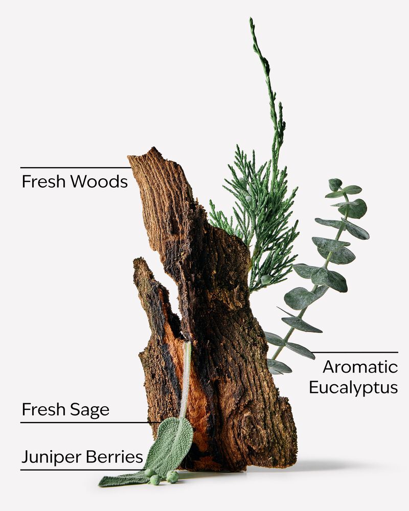 Sweater Weather 3-Wick Candle 3-Wick Candle