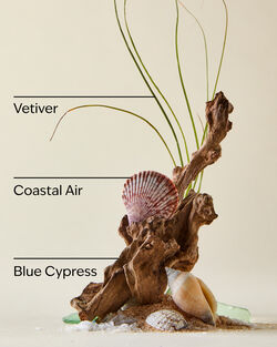 Ocean PocketBac Hand Sanitizer image number null