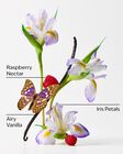 Butterfly Concentrated Room Spray image number null