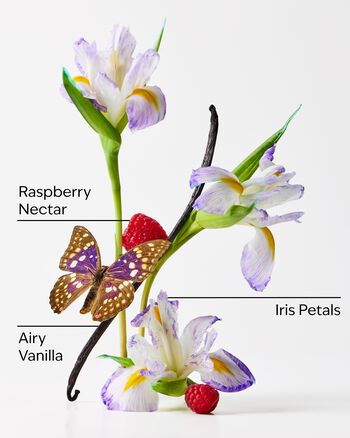 Butterfly Concentrated Room Spray Concentrated Room Spray