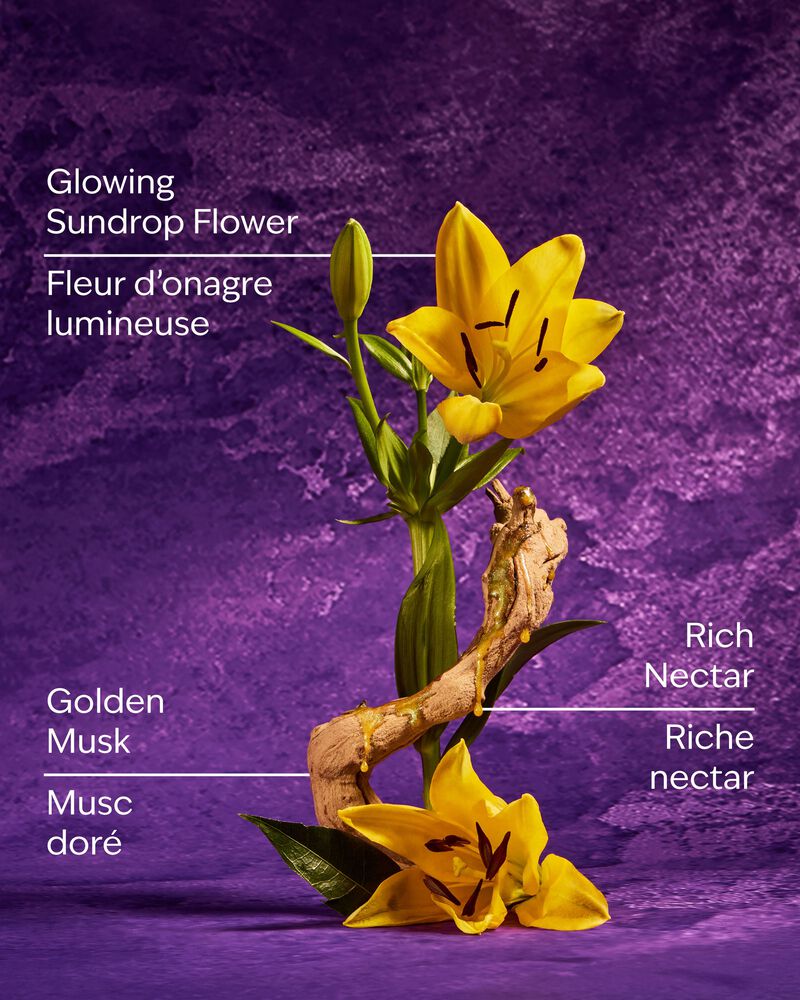 Rapunzel Fine Fragrance Mist Fine Fragrance Mist