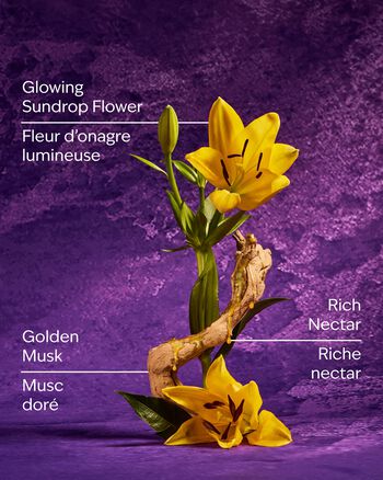 Rapunzel Fine Fragrance Mist Fine Fragrance Mist