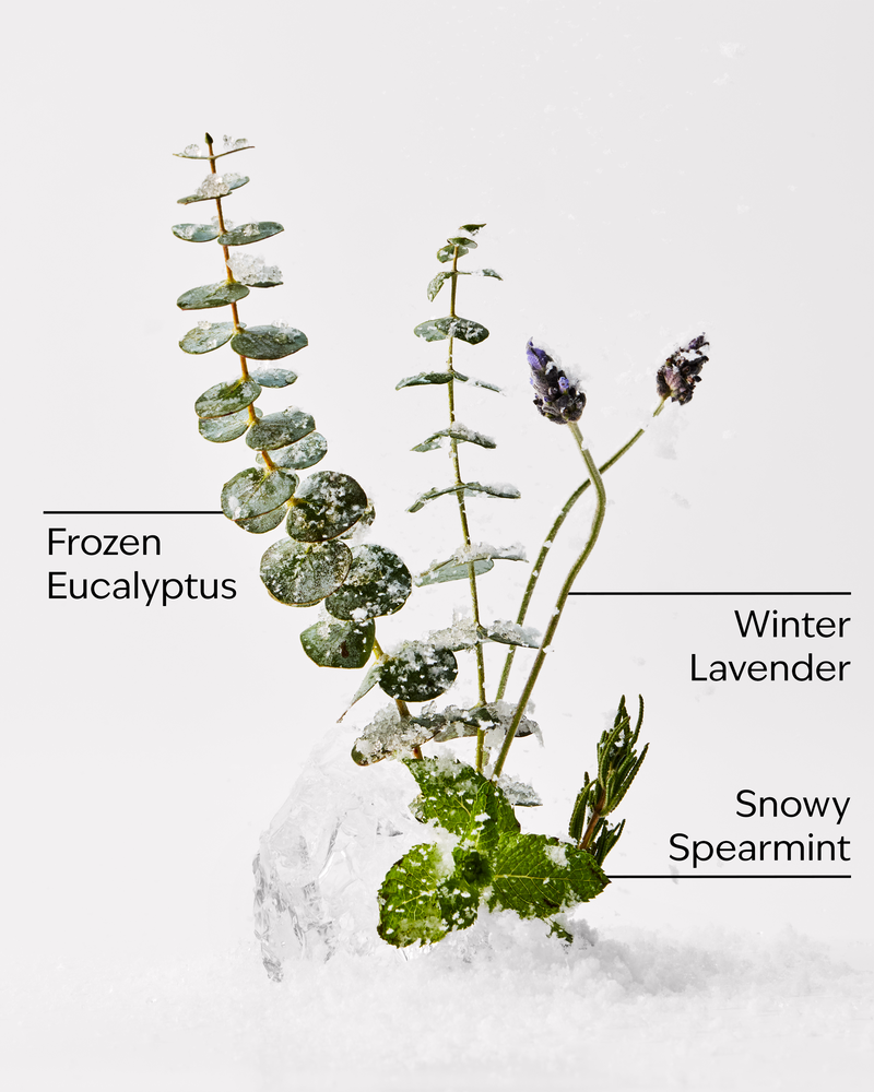 Eucalyptus Snowfall 3-Wick Candle 3-Wick Candle