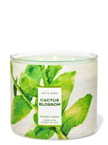 Cactus Blossom 3-Wick Candle 3-Wick Candle