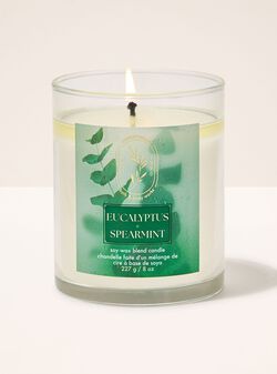 Eucalyptus Spearmint Single Wick Candle