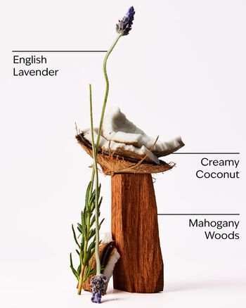 Mahogany Coconut Signature Single Wick Candle Single Wick Candle