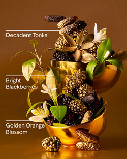 Touch of Gold Eau De Parfum image number null