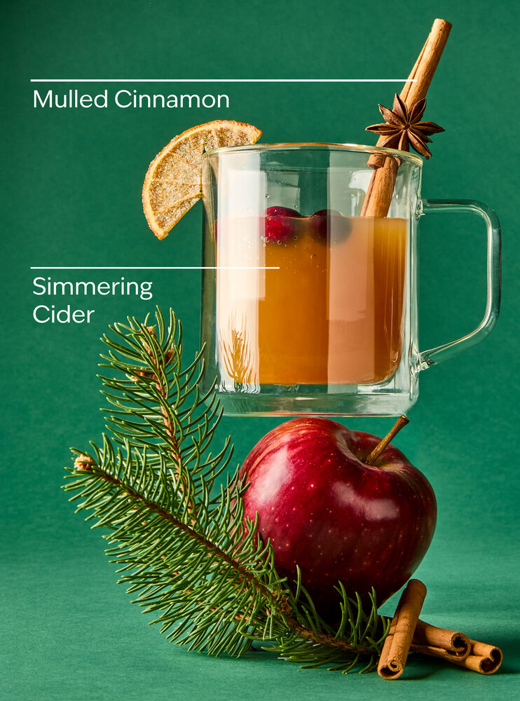 Christmas Cider Wallflowers Fragrance Refill Wallflowers Fragrance Refill