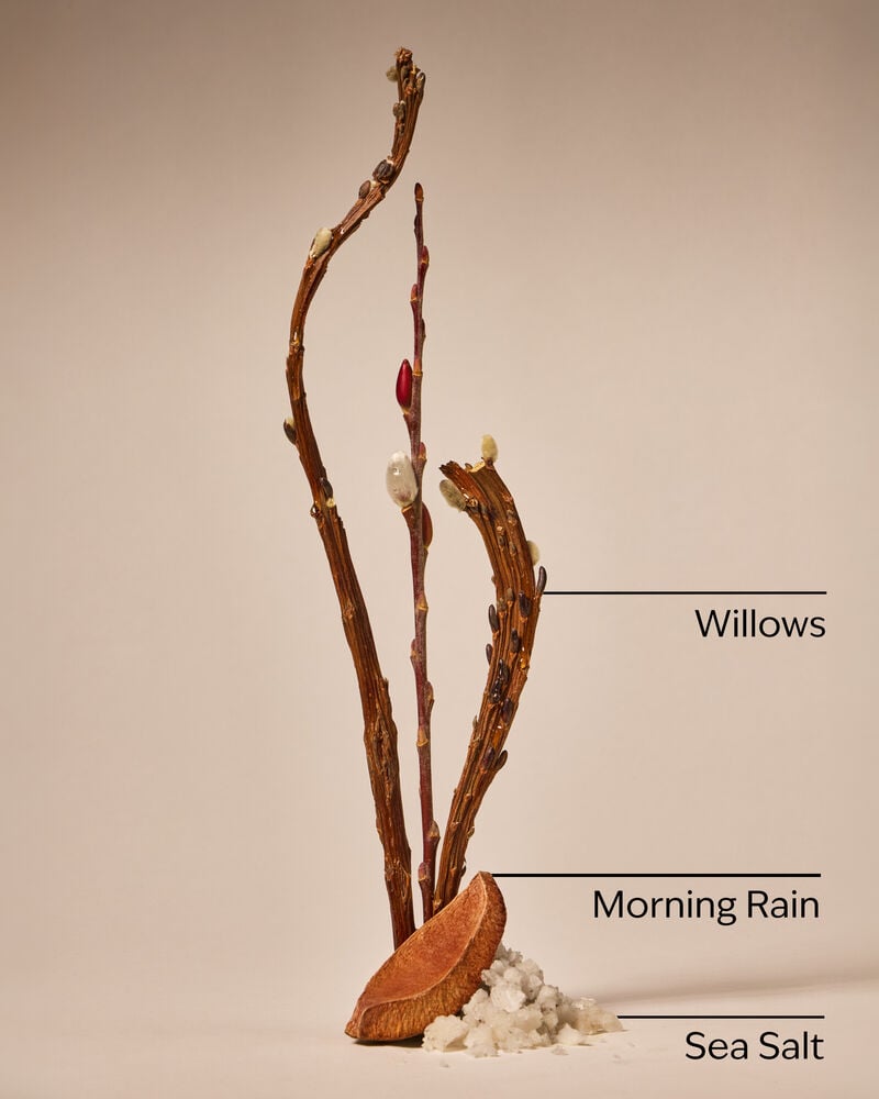 Rainfall Cleansing Gel Hand Soap Cleansing Gel Hand Soap