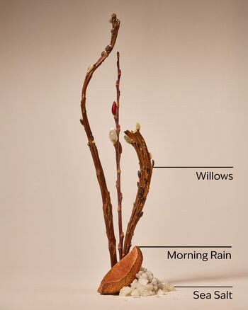 Rainfall Cleansing Gel Hand Soap Cleansing Gel Hand Soap