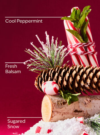 Twisted Peppermint 3-Wick Candle 3-Wick Candle