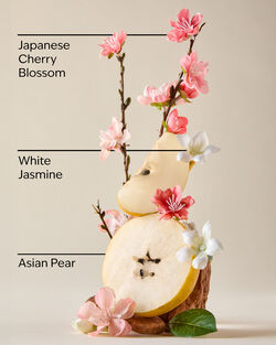 Japanese Cherry Blossom Shea Butter Cleansing Bar image number null