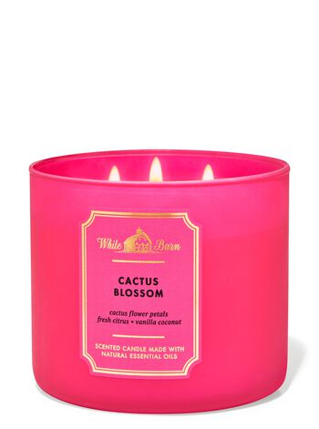 Cactus Blossom 3-Wick Candle 3-Wick Candle