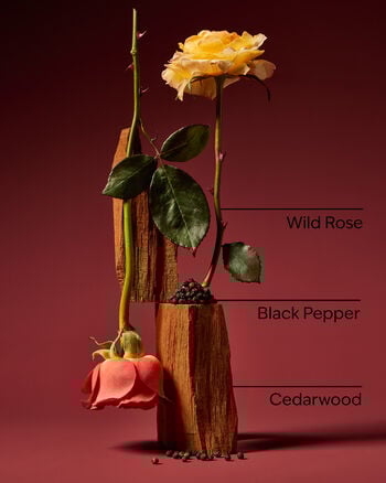 Nocturnal Rose 3-in-1 Hair, Face & Body Wash 3-in-1 Hair, Face & Body Wash