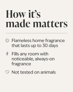 Snowflakes & Cashmere Wallflowers Fragrance Refill