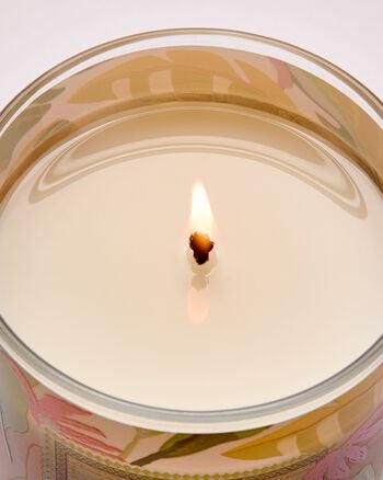Coconut Pi&ntilde;a Colada Single Wick Candle Single Wick Candle