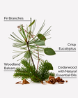 Fresh Balsam Concentrated Room Spray image number null