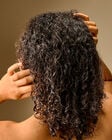 A Thousand Wishes Conditioner image number null