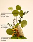 Eucalyptus Spearmint Essential Oil Mist image number null