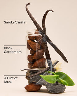 Noir Travel Size Ultimate Hydration Body Cream