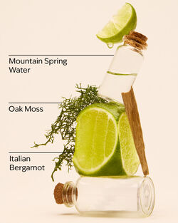 Freshwater Ultimate Hydration Body Cream image number null