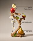 Sweet Apple Gentle & Clean Foaming Hand Soap image number null
