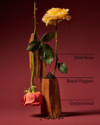 Nocturnal Rose Body Spray Body Spray