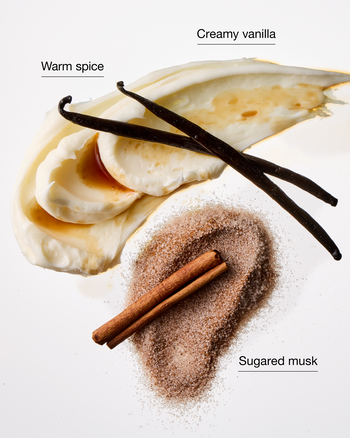 Sugared Snickerdoodle Single Wick Candle Signature Single Wick Candle