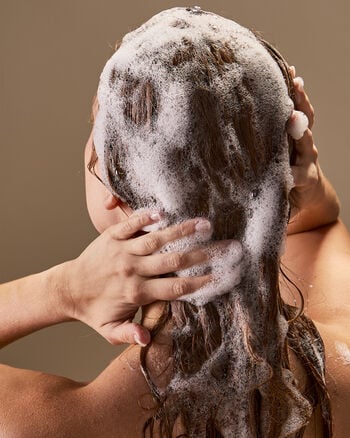 At The Beach Travel Size Moisturizing Shampoo Travel Size Moisturizing Shampoo