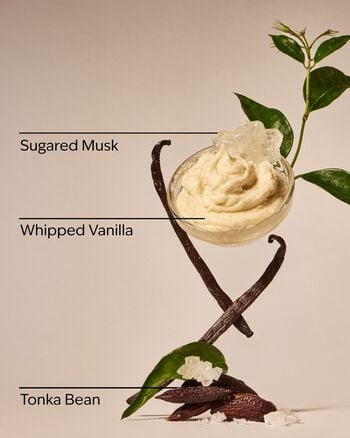 Wild Vanilla Travel Size Smooth & Soothe Body Cream Travel Size Smooth & Soothe Body Cream