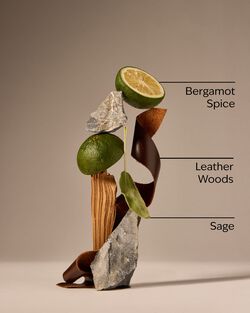 Graphite Cologne Mist image number null