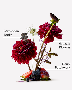 Sally Single Wick Candle image number null