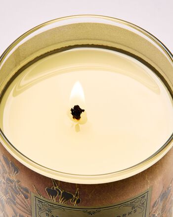 Backyard Honeysuckle Single Wick Candle Single Wick Candle